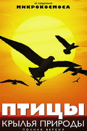 Птицы: Крылья природы 1 сезон онлайн